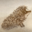 Mary_Bacca